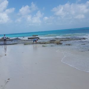 Meet your Posher, Margaret